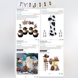 First Birthday First rodeo party set